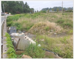  2025Ÿ��5237  ���������