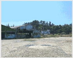  2025Ÿ��5237  ���������