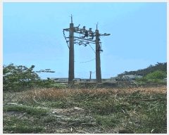  2025Ÿ��5237  ���������