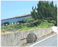  2025Ÿ��5237  ���������