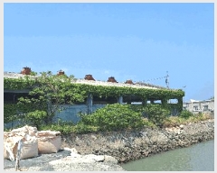  2025Ÿ��5237  ���������