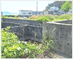  2025Ÿ��5237  ���������