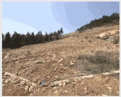  2025Ÿ5240  ﱺ  û 675      ()