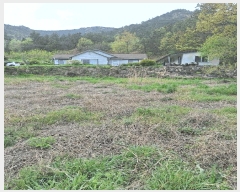  2025Ÿ��5245 ���� ���ﱺ ������ �ܵ��� 441-2      ���ð��