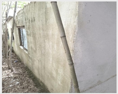  2025Ÿ5246  ﱺ   414-8      (󰡽ü)