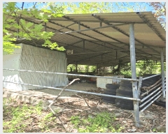  2025Ÿ5246  ﱺ   414-8      (󰡽ü)