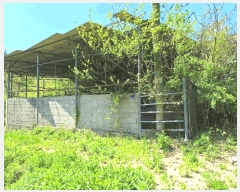  2025Ÿ5246  ﱺ   414-8      (󰡽ü)