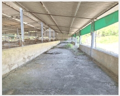  2025Ÿ5246  ﱺ   414-8      (󰡽ü)