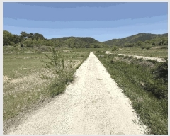  2025Ÿ��5247  �����