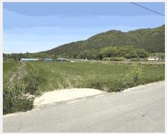  2025Ÿ��5247  �����