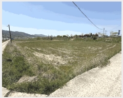  2025Ÿ��5247  �����