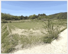  2025Ÿ��5247  �����