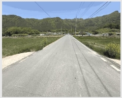  2025Ÿ��5247  �����