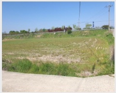  2025Ÿ��5247  �����