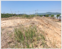  2025Ÿ��5249 ���� ������ ������ ���긮 1490-10      ����(�������)���