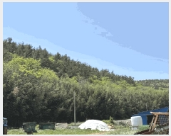  2025Ÿ��5252 ���� ������ ������ ������ ��118      ����(�Ӿ�)���