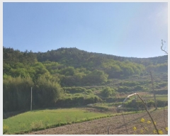  2025Ÿ��5252 ���� ������ ������ ������ ��118      ����(�Ӿ�)���