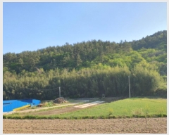  2025Ÿ��5252 ���� ������ ������ ������ ��118      ����(�Ӿ�)���