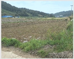  2025Ÿ��5258 ���� ������ ������ ������ 283-2      ����(��)���