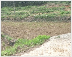  2025Ÿ��5258 ���� ������ ������ ������ 283-2      ����(��)���