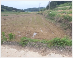  2025Ÿ��5258 ���� ������ ������ ������ 283-2      ����(��)���