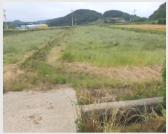  2025Ÿ��5258 ���� ������ ������ ������ 283-2      ����(��)���