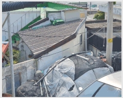  2025Ÿ��5261  ������