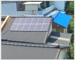  2025Ÿ��5279  �������