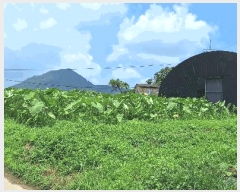  2025Ÿ��5288  �����