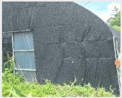  2025Ÿ��5288  �����