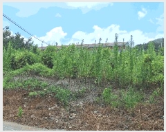  2025Ÿ��5288  �����