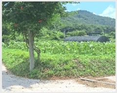  2025Ÿ��5288  �����