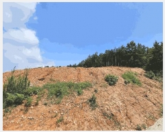  2025Ÿ��5291  �Ӿ߰��