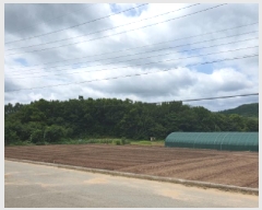  2025Ÿ��5291  �Ӿ߰��