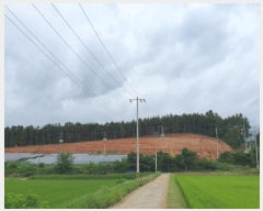  2025Ÿ��5291  �Ӿ߰��