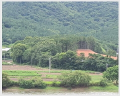  2025Ÿ��5291  �Ӿ߰��