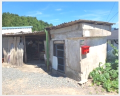  2025Ÿ��5294  ���ð��