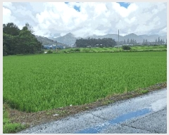  2025Ÿ��5294  ���ð��