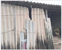  2025Ÿ��5294  ���ð��