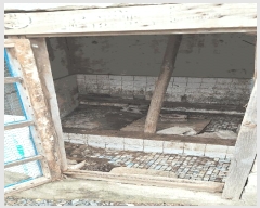  2025Ÿ��5294  ���ð��