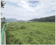  2025Ÿ��5306  ����