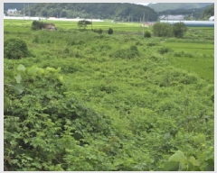  2025Ÿ��5306  ����