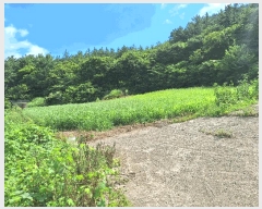  2025Ÿ��5309  �����