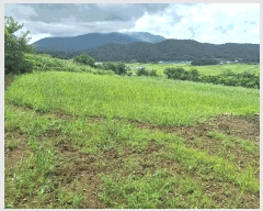  2025Ÿ��5309  �����