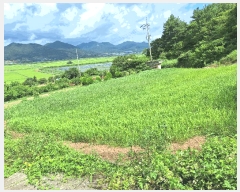  2025Ÿ��5309  �����