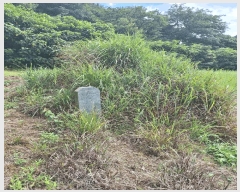  2025Ÿ��5309  �����