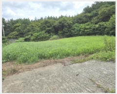  2025Ÿ��5309  �����