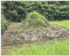  2025Ÿ��5309  �����