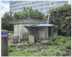  2025Ÿ��5311  ���ð��