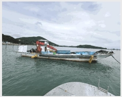  2025Ÿ��5318 ���� ������ ������ ������ 1277-4      ���ڰ��